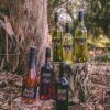 Lillypilly Muscat of Alexandria 375ml - Image 2